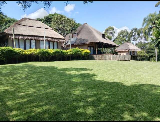 FARM FOR SALE IN LEVUBU